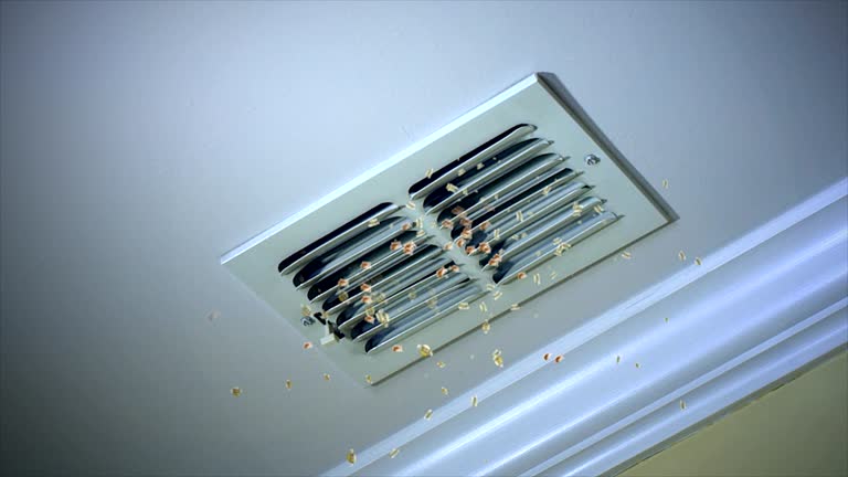 Best HVAC Duct Inspection Services  in Mccamey, TX